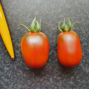 20230710_Golden Sweet.JPG