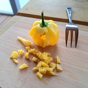 Habanero White 250723 02.jpg