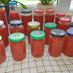 20230810_Tomatensauce.JPG