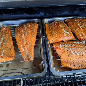 Lachs Smoker 180823 01.jpg