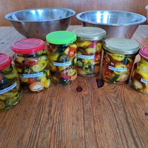 Jalapeños 260823 01.jpg