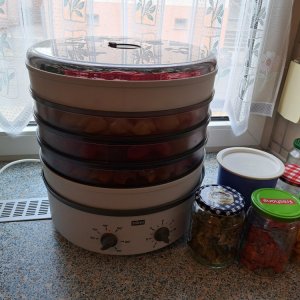 Dörrex 260823 02.jpg