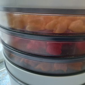 Dörrex 260823 03.jpg