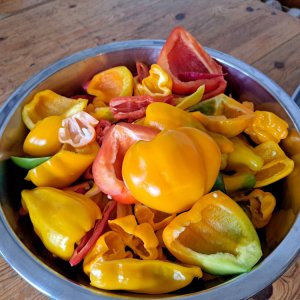 Chili Paprika 1900g.jpg