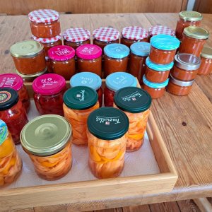 Neuer Vorrat 030923.jpg