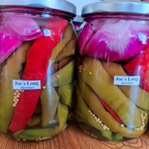 Joes Long 090923.jpg