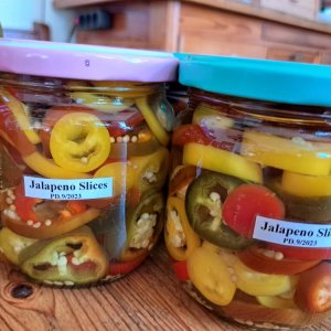 Jalapeno Slices 090923.jpg