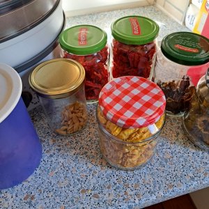 getrocknete Chilis.jpg