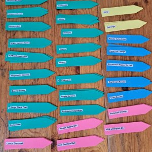 Chili Etiketten 2024.jpg