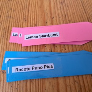 Etiketten 170124.jpg