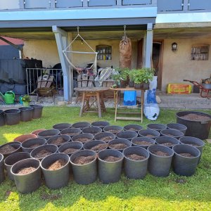 Chili Umtopfaktion 12052024 01.jpg