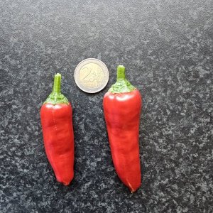 20240629_Jemez Pueblo.JPG