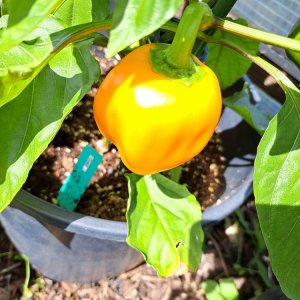 Cueño 070724 02.jpg