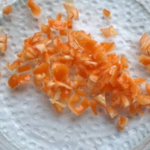 Pockmark Orange 290724 03.jpg