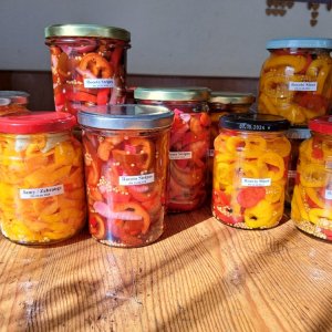 Chili süß-sauer 260824.jpg