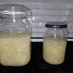 20240928_Sauerkraut.JPG