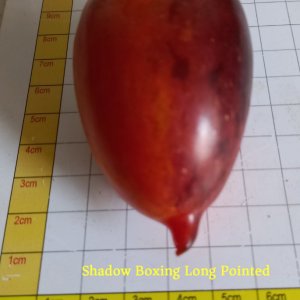 Shadow Boxing Long Pointed.jpg