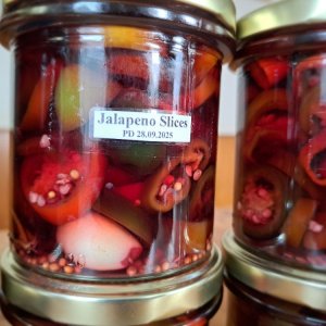 Slices 280925 01.jpg