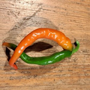 Peperoni Zwilling 031025 02.jpg