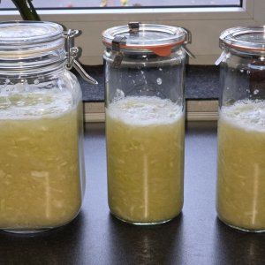 20251103_Sauerkraut.JPG