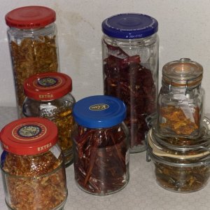 Medium '20251123_Getrocknete Chilis.JPG' im Album 'Moppeliwan- Allgemein'