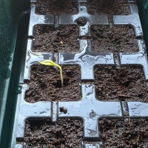 20251226_CAP 1639.JPG