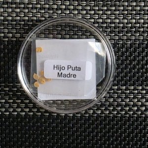 20251228_Hijo Puta Madre.JPG