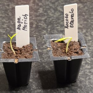 20260109_Frisch geschlüpft.JPG