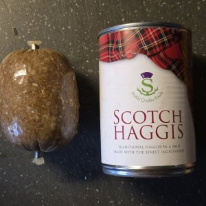 20260211_Haggis1.JPG