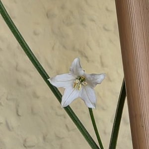 20260409_CAP 1445.JPG