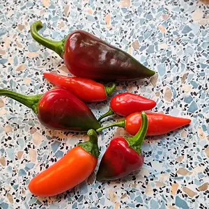 Medium 'Ernte 060726.webp' im Album 'Hot and Spicy 2026'