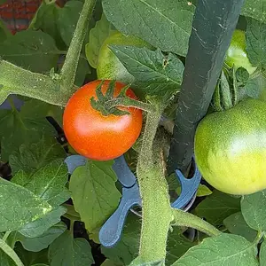20260720_Harbinger.webp