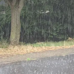 20260726_Regen.webp