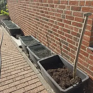 20261012_Tomatenwand.webp