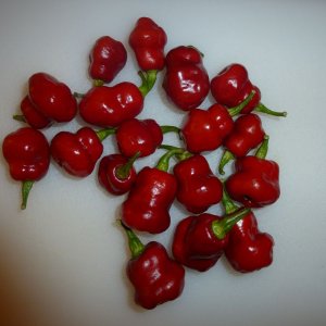 Red_Thunder_F4_20140721
