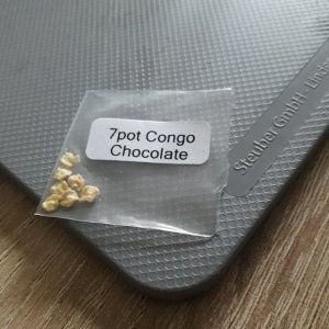 Congo Chocolate
