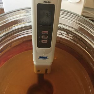 pH Ende Fermentation