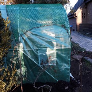 20190322_175831.jpg