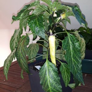 20190327_173015.jpg