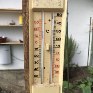 Temperaturen Gewächshaus