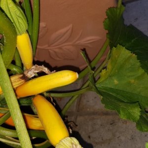 20190629_211309.jpg