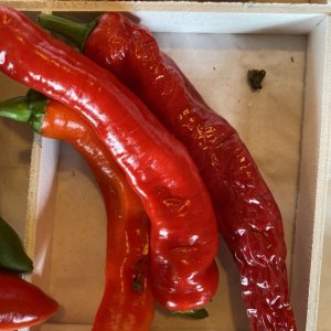 Numex Las Cruces Cayenne