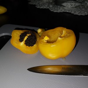 Manzano Grande Amarillo (2)