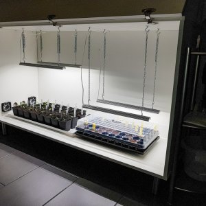 Growbox-Innenansicht.JPG