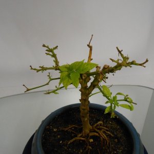 DSCN3177.JPG