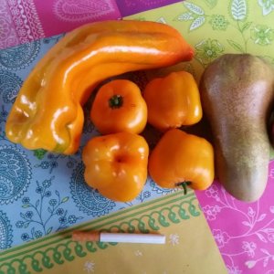 20181002_080356[1].jpg