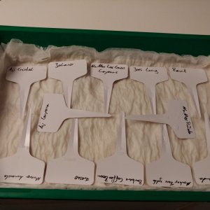 28.12. zweite Runde im MGH