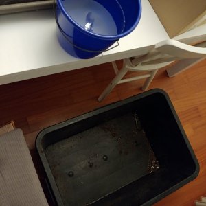 2.4. Waschen und entsorgen