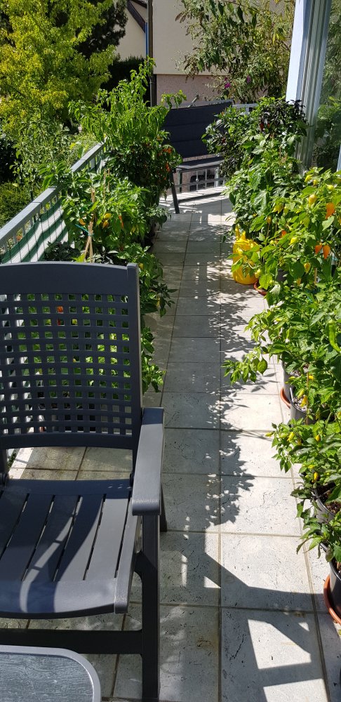 15352892774243892596425339220836