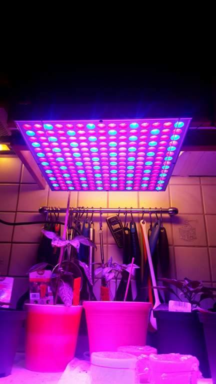 18051712_1723392097687519_140066703_n